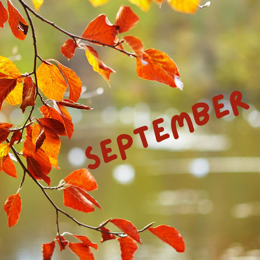 Embrace the Beauty of September with 6 Natural Vegan Beauty Tips from Angus and Florrie